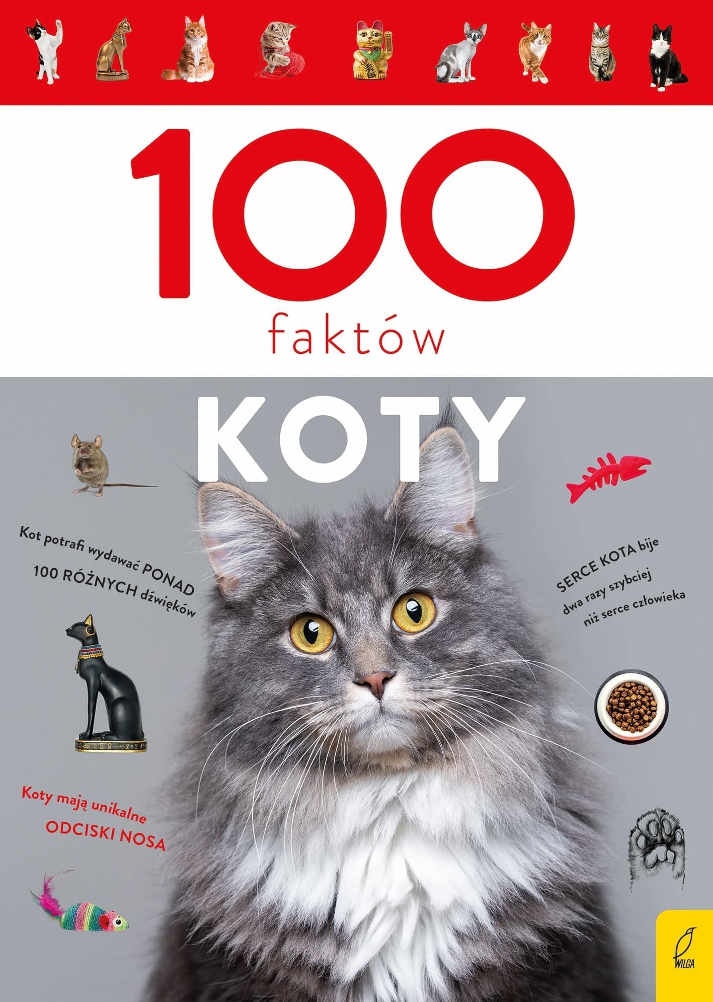 100 faktów. Fascynująca książka o kotach