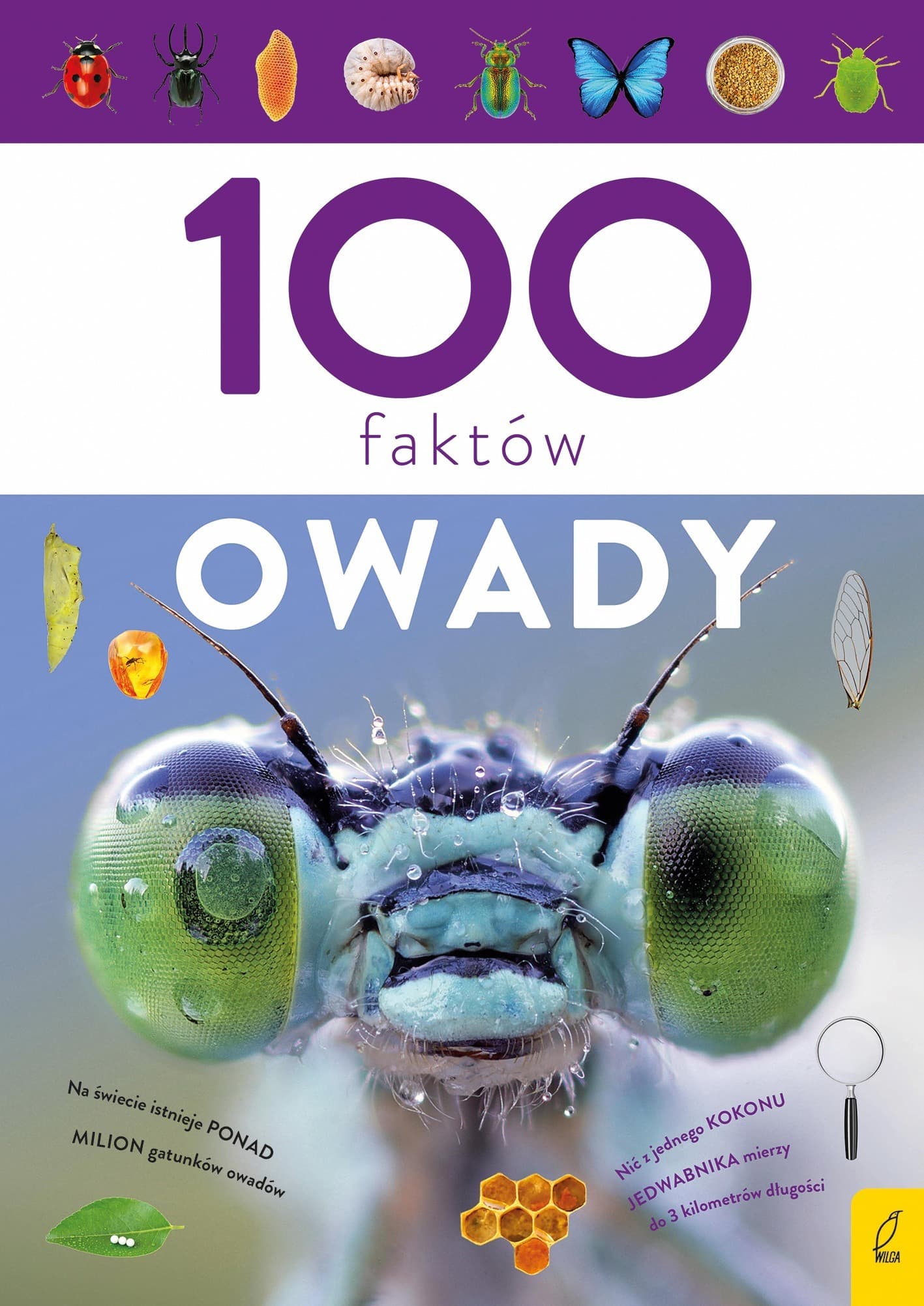100 faktów o owadach - Książka edukacyjna dla dzieci