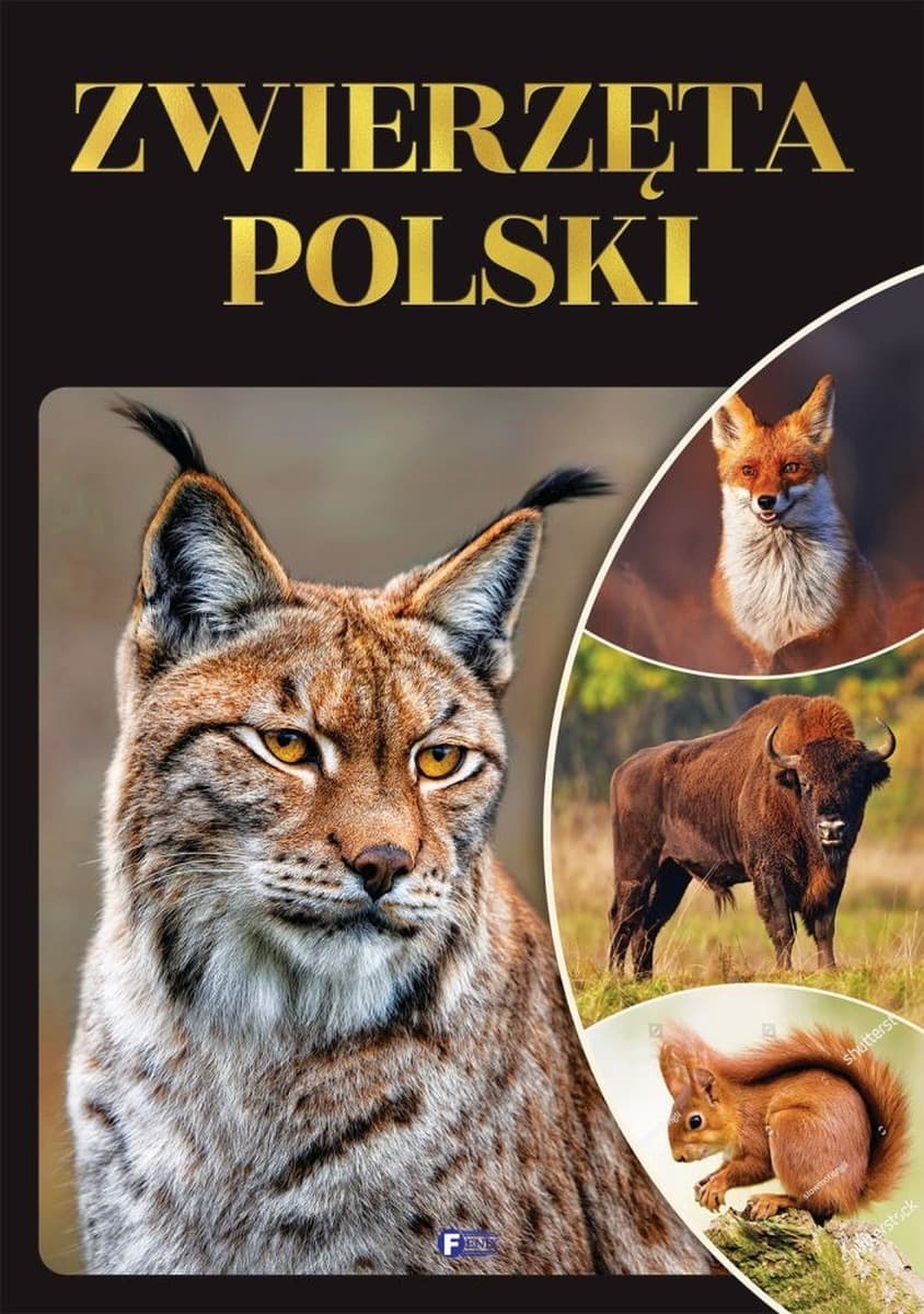 Album edukacyjny o zwierzętach Polski dla dzieci i dorosłych