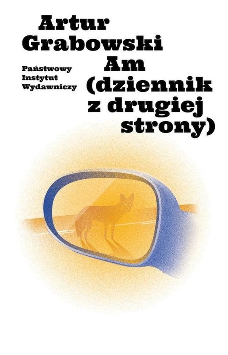 Am - Dziennik z drugiej strony - Powieść