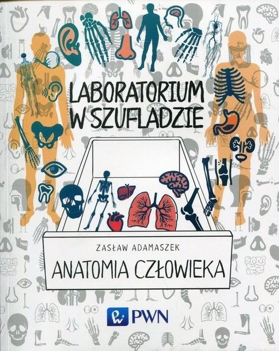 Anatomia człowieka laboratorium w szufladzie