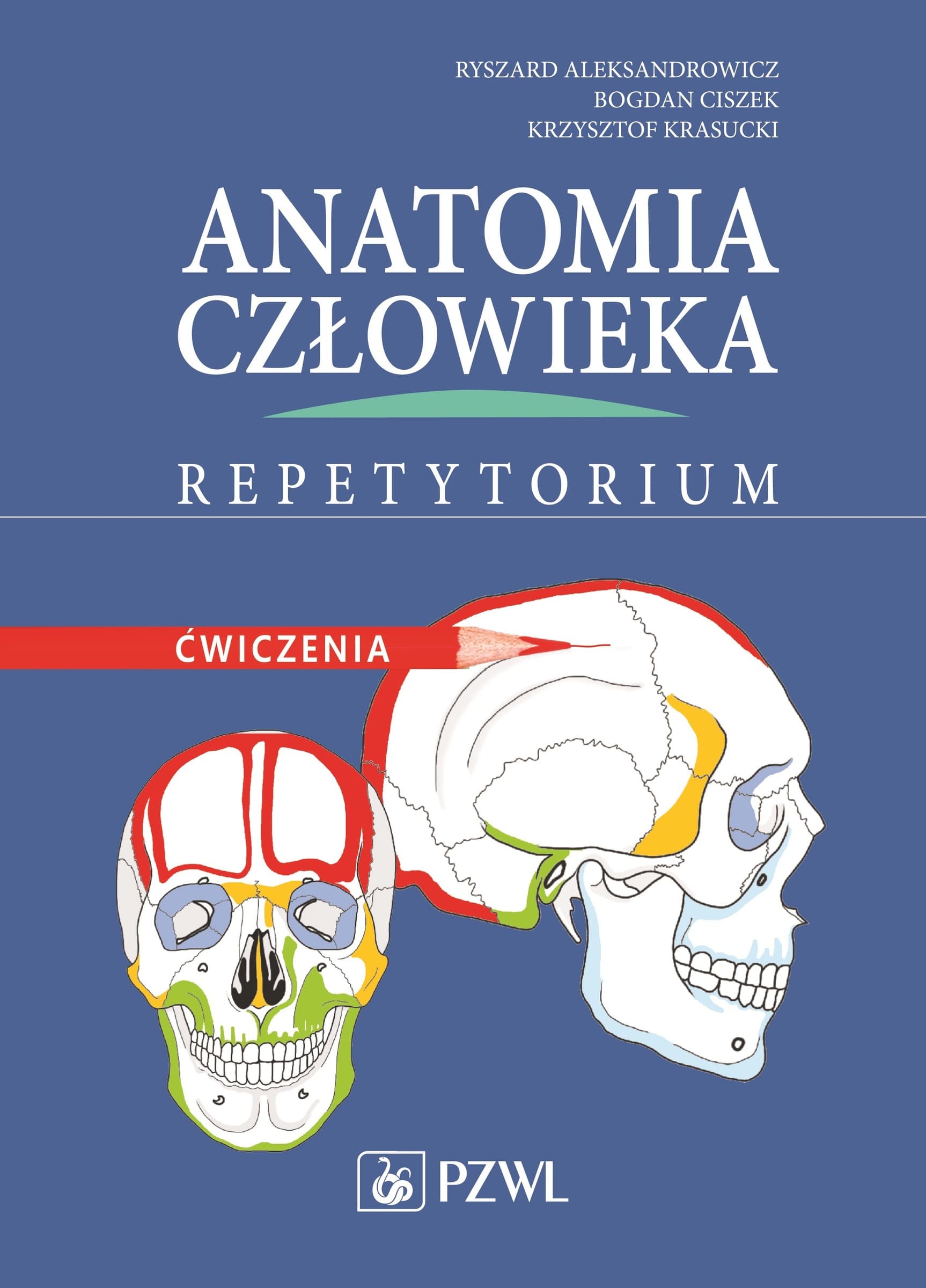 Anatomia człowieka - repetytorium ćwiczenia