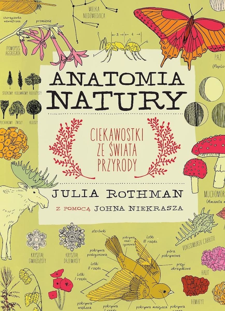 Anatomia natury - bogato ilustrowany przewodnik po świecie przyrody