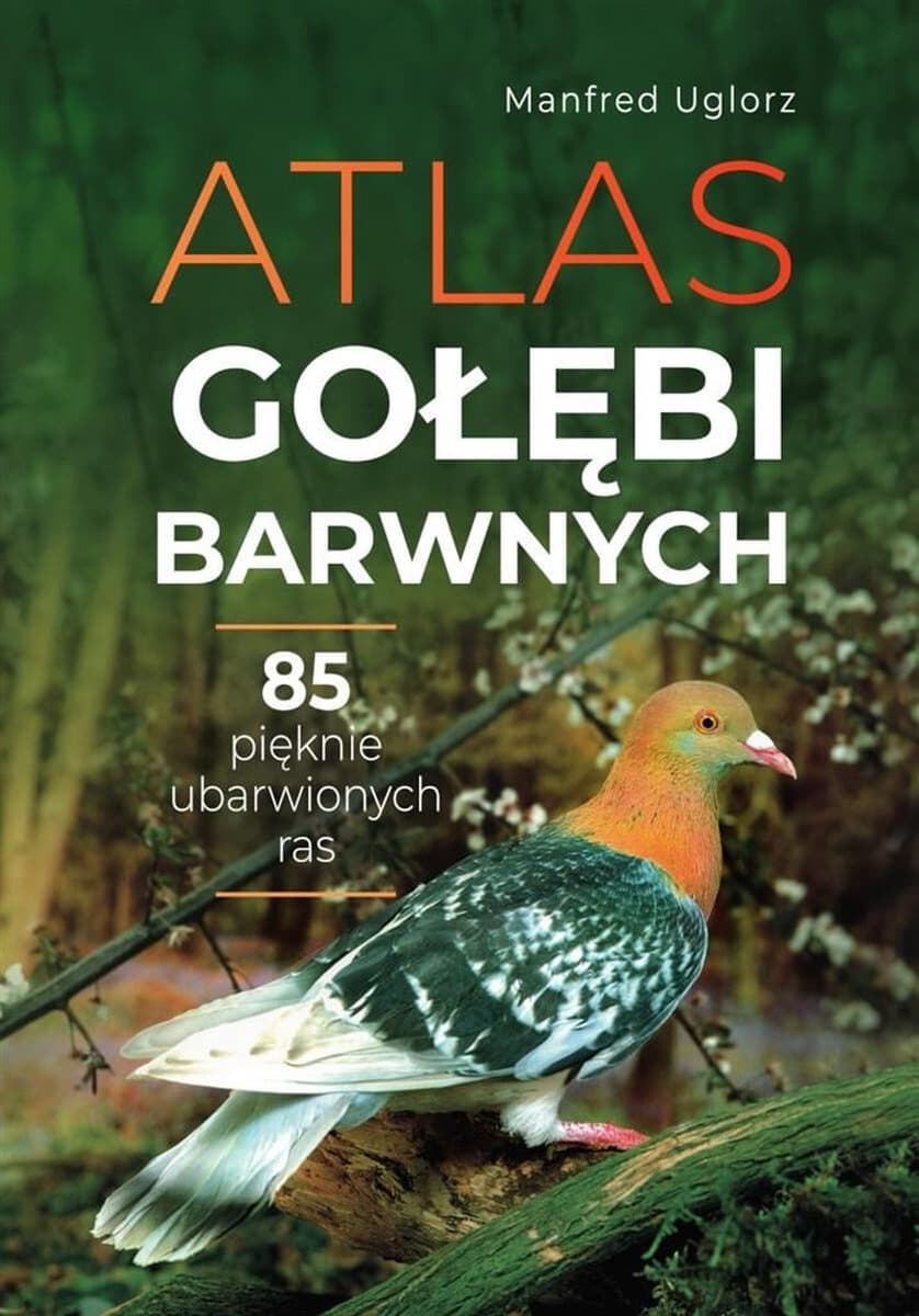 Atlas gołębi barwnych - poradnik hodowlany
