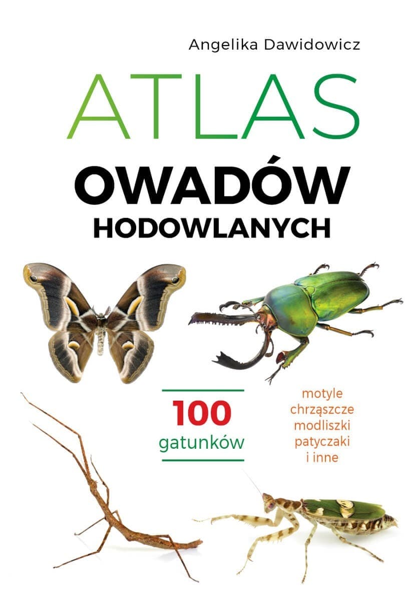 Atlas owadów hodowlanych. 100 gatunków