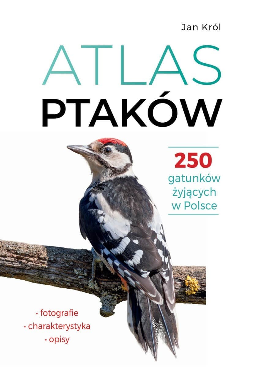 Atlas ptaków. 250 gatunków Polski