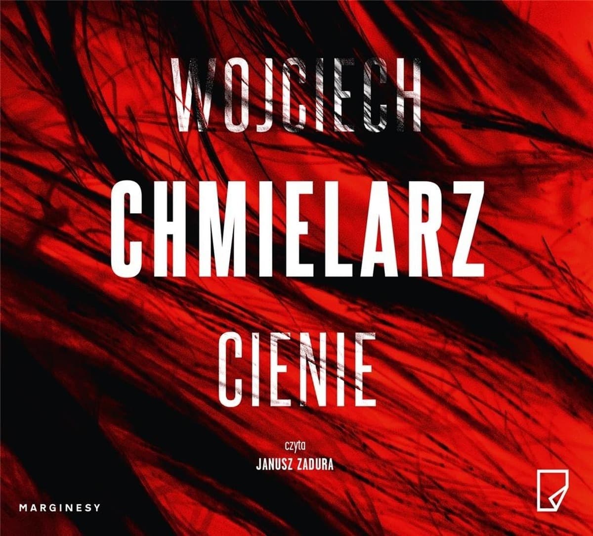 Audiobook Kryminał Thriller Wojciech Chmielarz Cienie