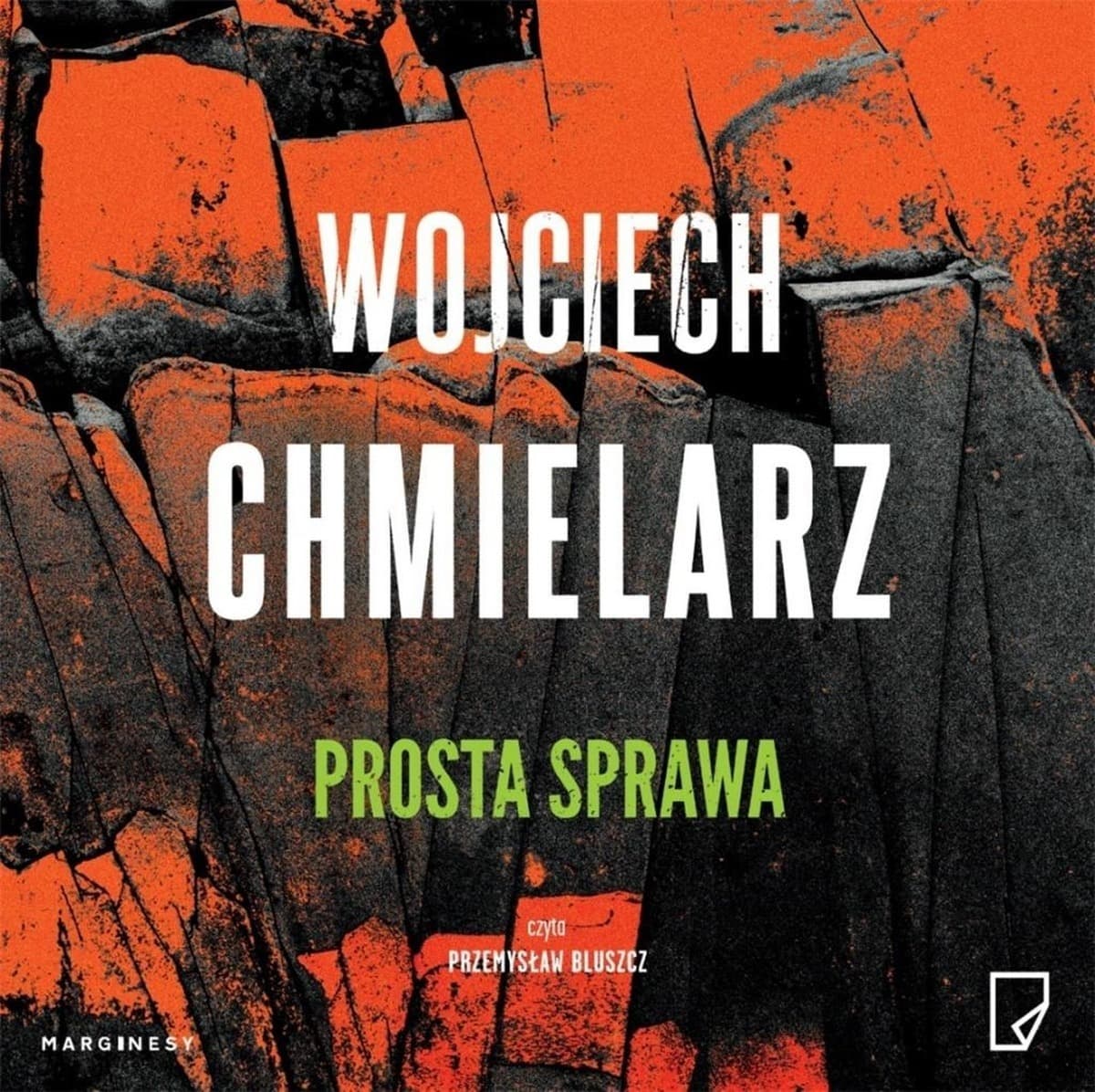 Audiobook Kryminał Thriller Wojciech Chmielarz Bezimienny Prosta Sprawa T.1