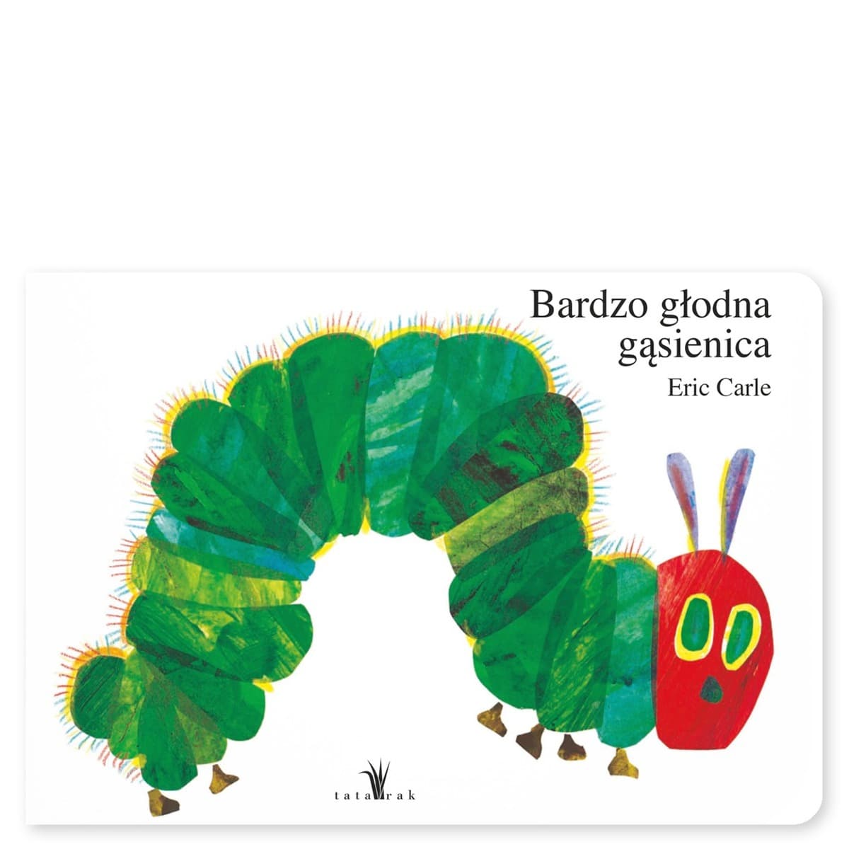 Bardzo głodna gąsienica