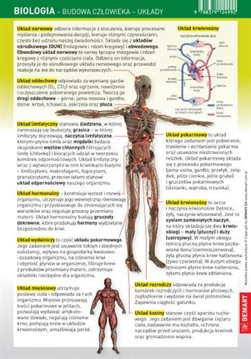 Biologia Budowa Człowieka - Układy. Karta Edukacyjna