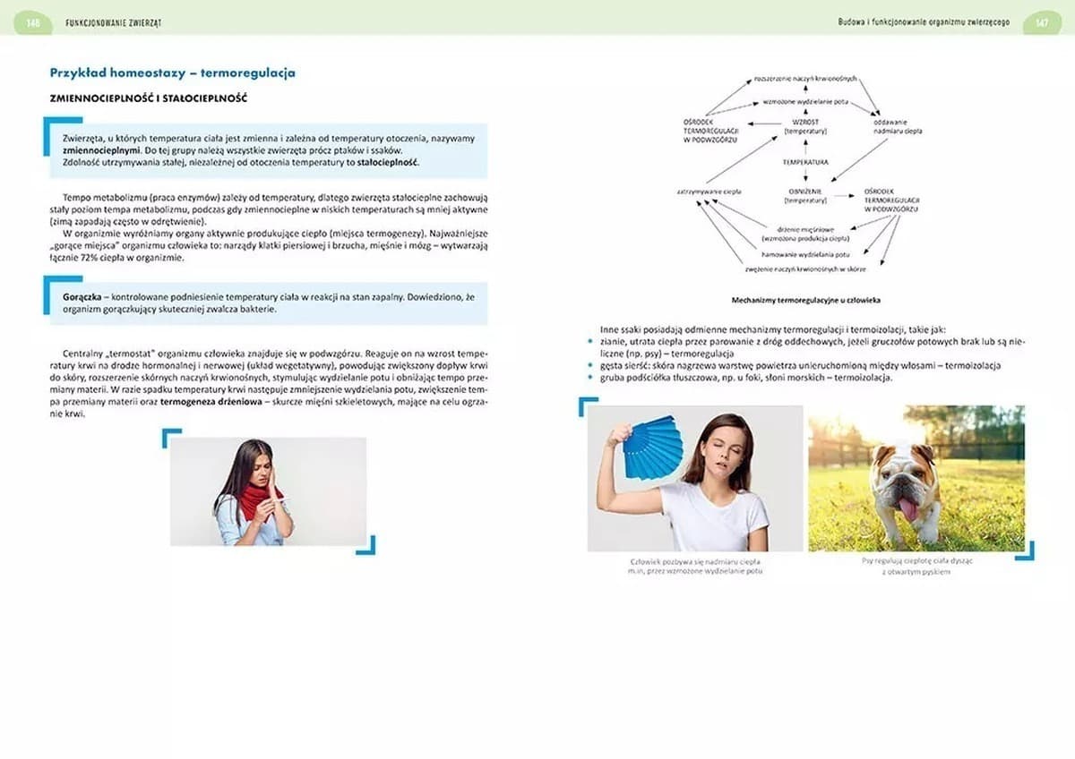 Biologia. Matura. Poziom rozszerzony. Repetytorium maturalne