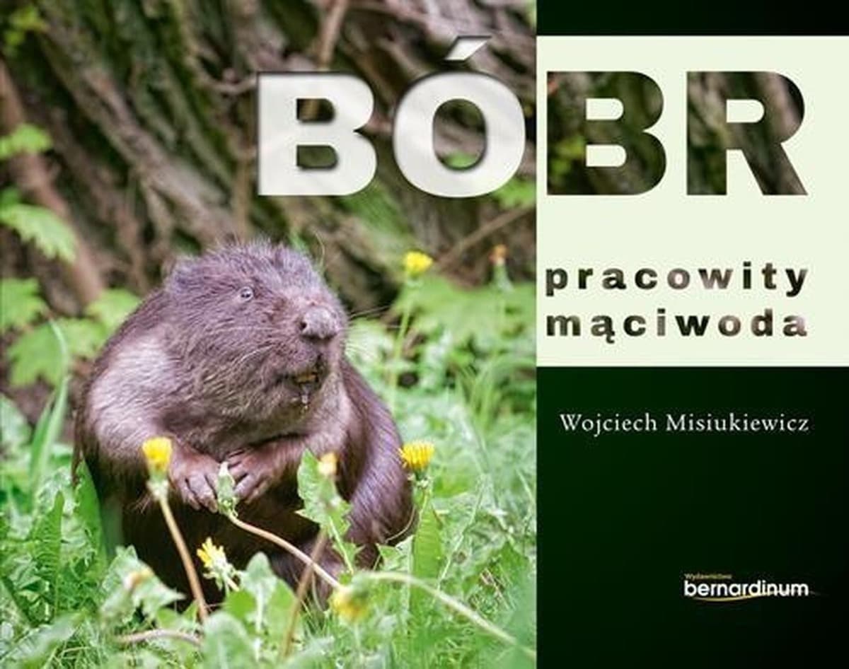 Bóbr - pracowity mąciwoda - książka