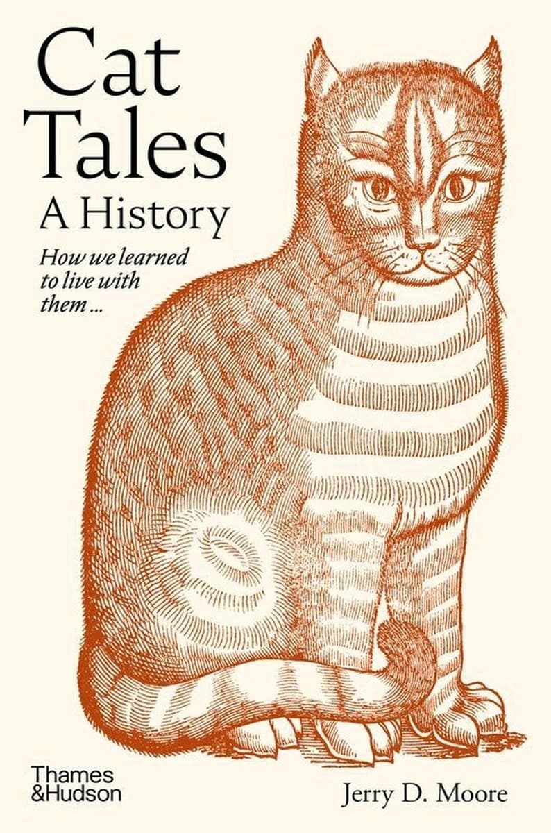 Cat Tales wer. angielska