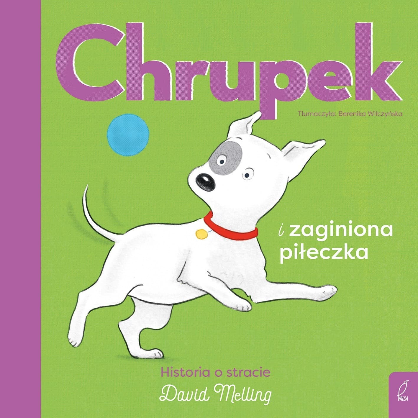 Chrupek i zaginiona piłeczka
