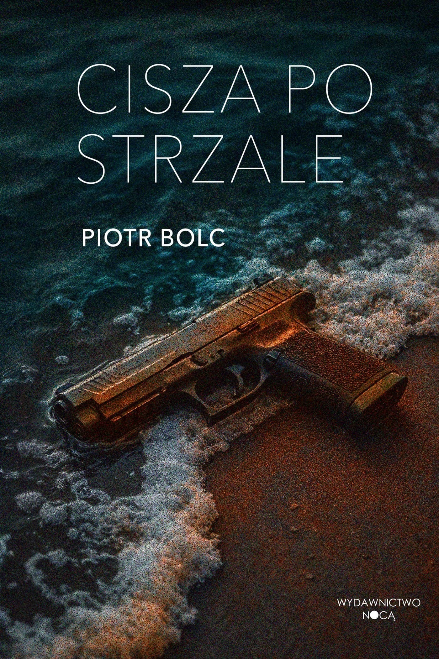Cisza po strzale - książka