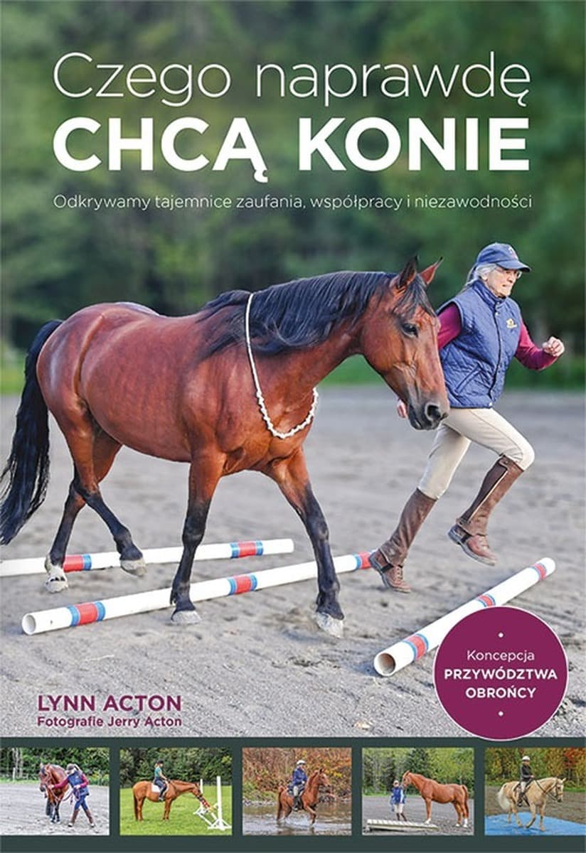 Czego naprawdę chcą konie - Lynn Acton, poradnik jeździecki