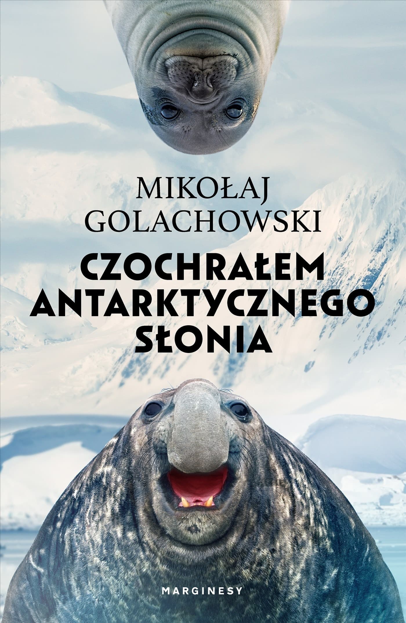 Czochrałem antarktycznego słonia eko. eko
