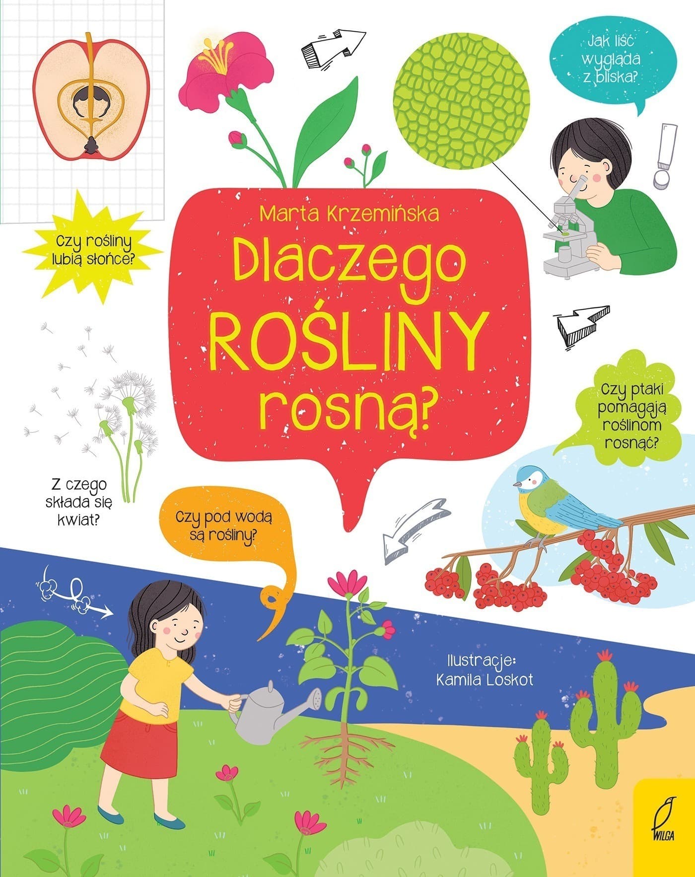 Dlaczego rośliny rosną? Co i jak