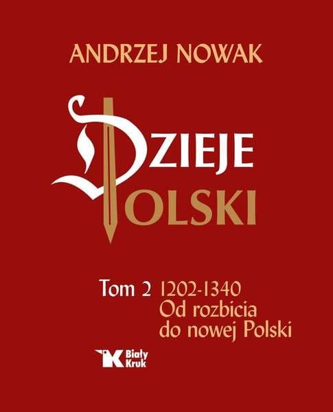Dzieje Polski Tom 2 1202-1340 Od Rozbicia - książka