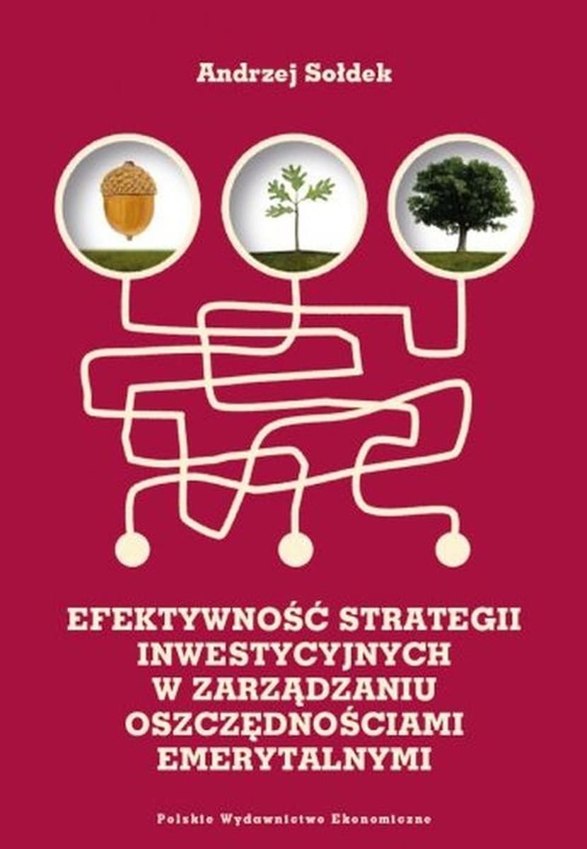 Efektywność strategii inwestycyjnych - Andrzej Sołdek