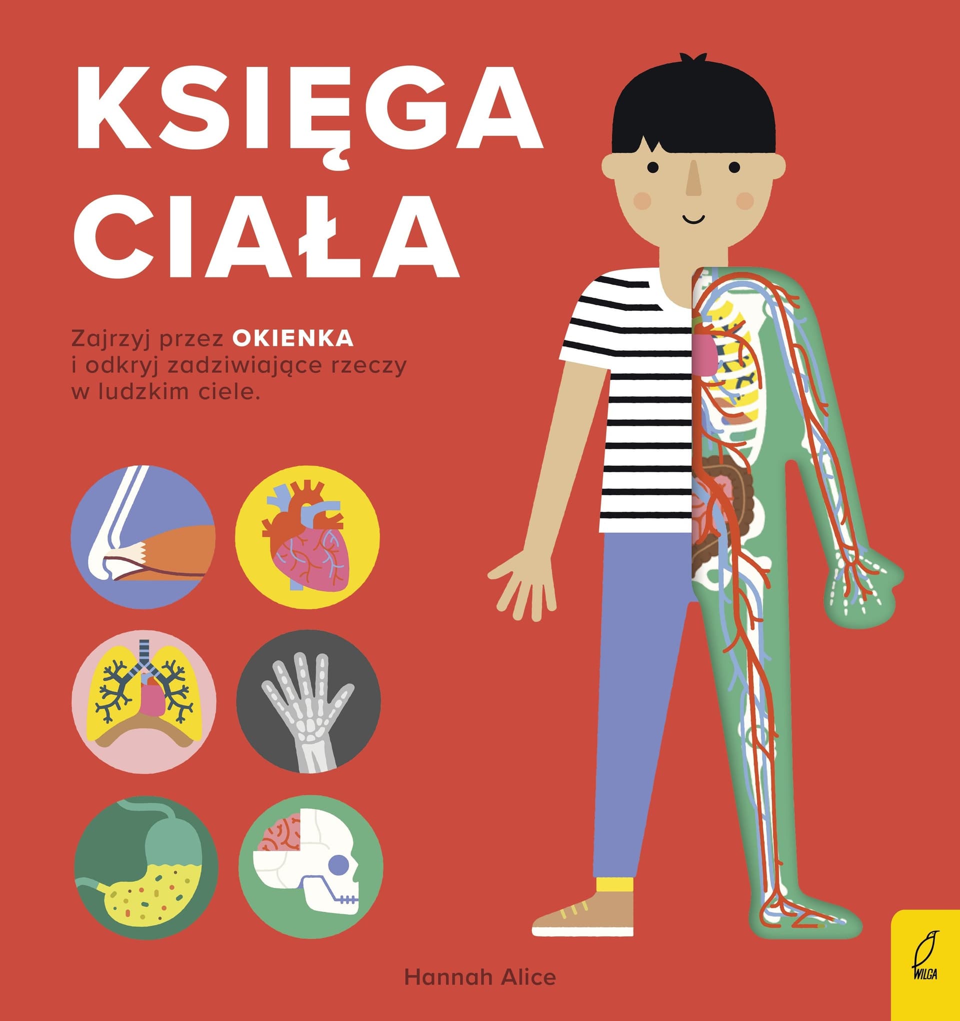 Encyklopedia dla Dzieci Księga Ciała - komiks