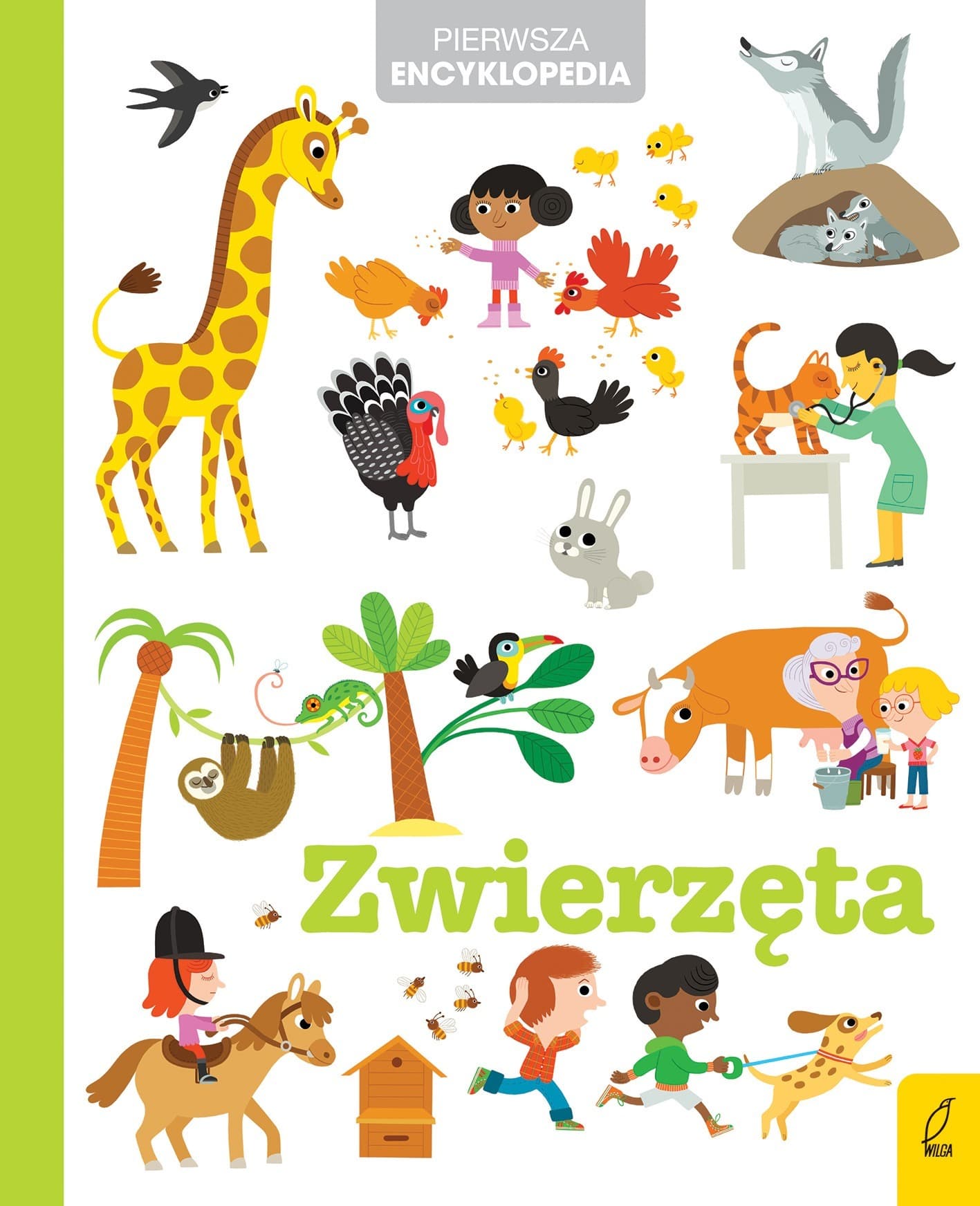 Encyklopedia Pierwsza Encyklopedia dla Przedszkolaka Zwierzęta