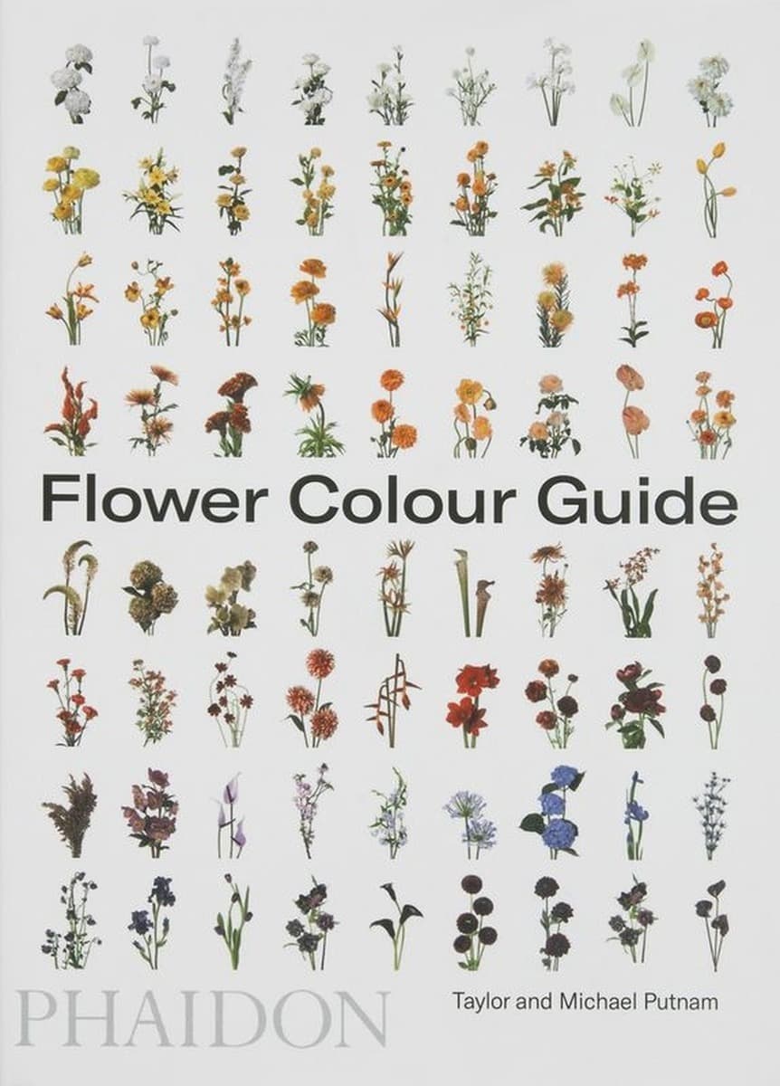 Flower Colour Guide wersja angielska
