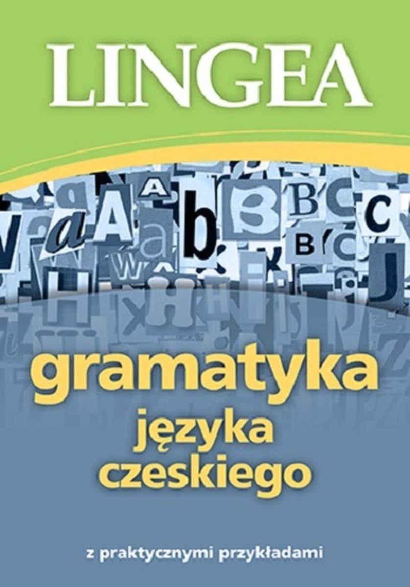 Gramatyka języka czeskiego - współczesne zagadnienia gramatyczne