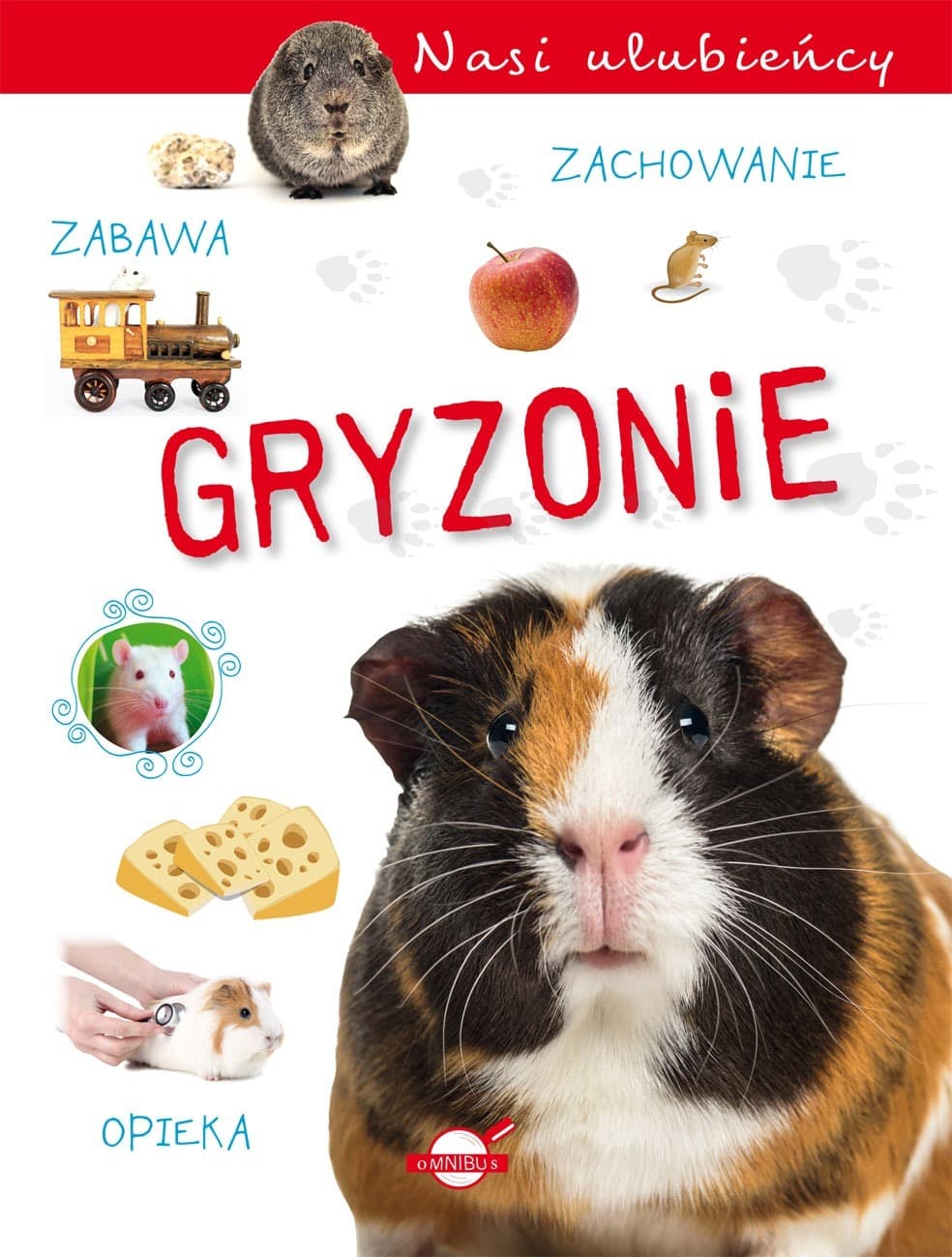 Gryzonie Nasi ulubieńcy Książka dla dzieci