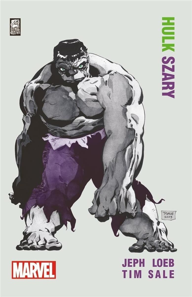 Hulk Szary Komiks Twarda Oprawa Jeph Loeb, Tim Sale