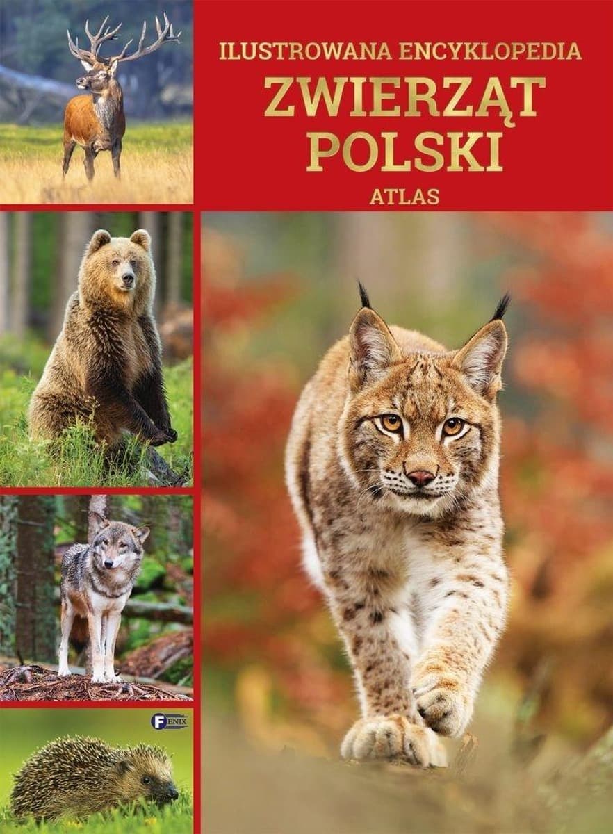 Ilustrowana encyklopedia zwierząt Polski - Atlas. Wydanie 2025