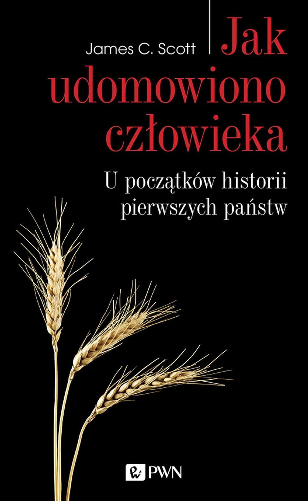 Jak udomowiono człowieka - U początków historii pierwszych państw