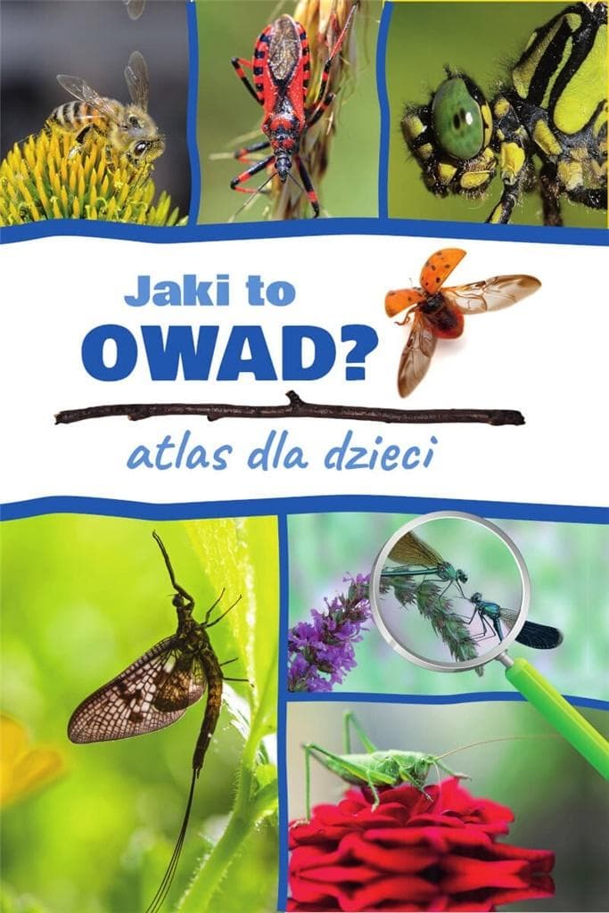 Jaki to owad? Atlas dla dzieci Kamila Twardowska, Jacek Twardowski