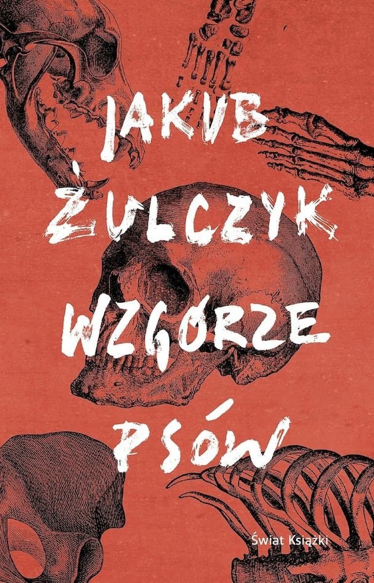 Jakub Żulczyk Powieść Wciągający Thriller o Mrocznej Stronie Prowincji
