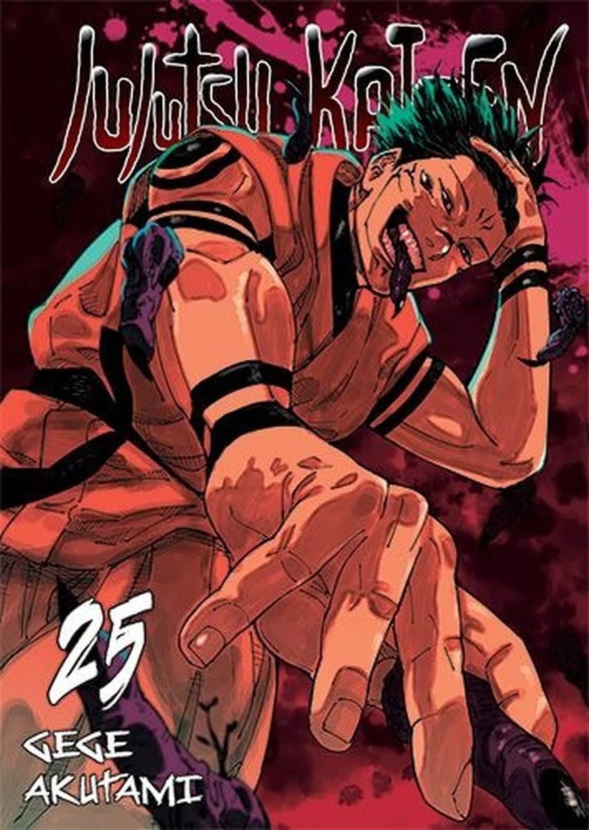 Jujutsu Kaisen. Tom 25