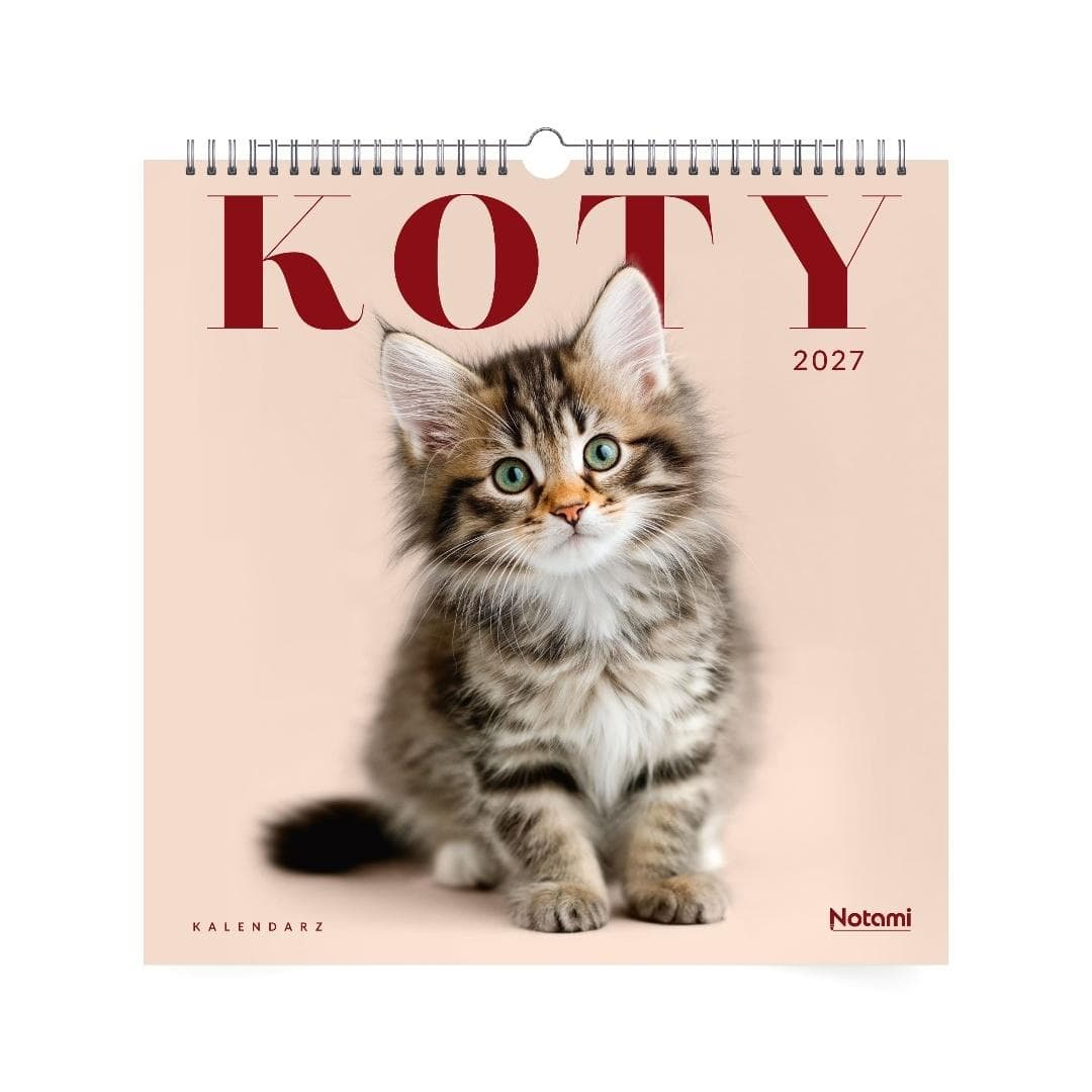 Kalendarz ścienny 2027 kwadratowy 33x33 cm Koty spirala