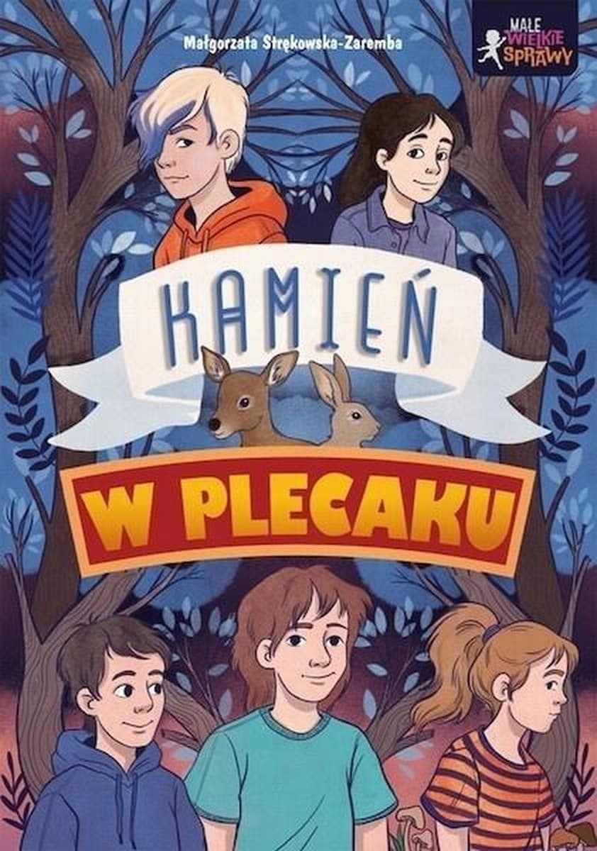 Kamień w plecaku. Małe wielkie sprawy. Powieść dla dzieci i młodzieży