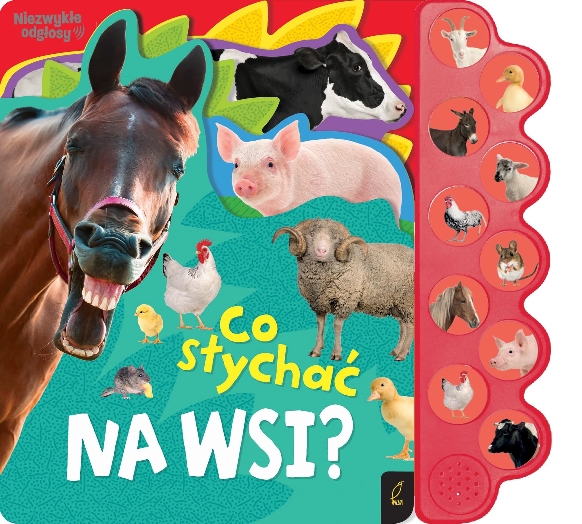 Kolorowa książeczka edukacyjna Co słychać na wsi?