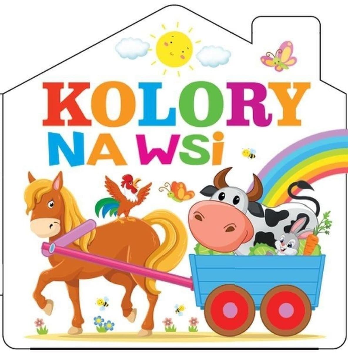 Kolorowa książeczka - książeczka edukacyjna dla dzieci Jarek Żukowski, Ewelina Chmielińska