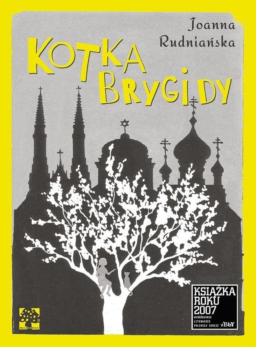 Kotka Brygidy - powieść dla dzieci i młodzieży