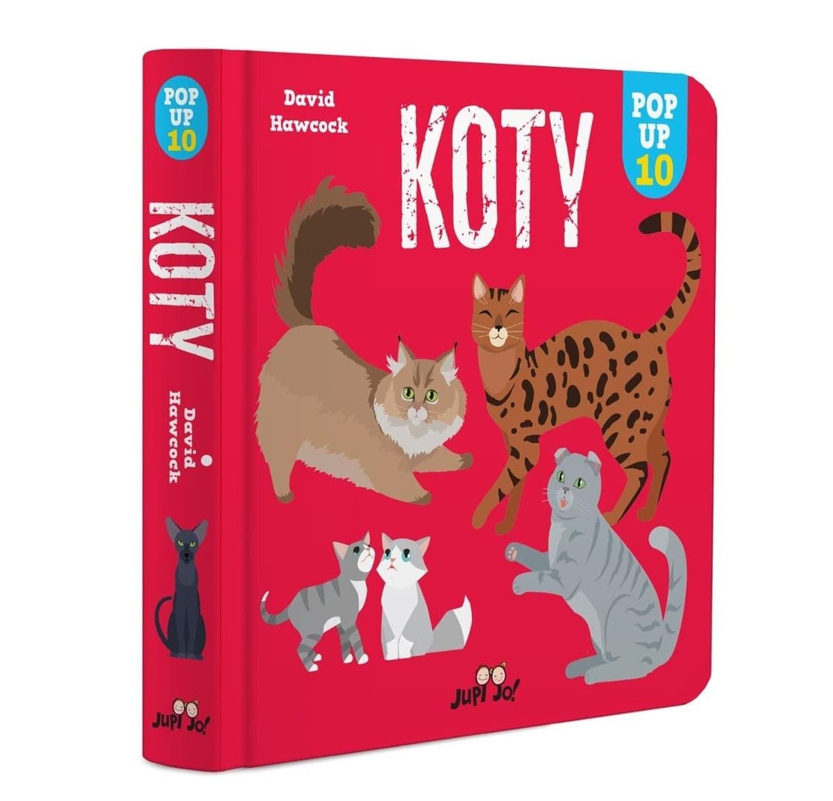 Koty. Pop-up