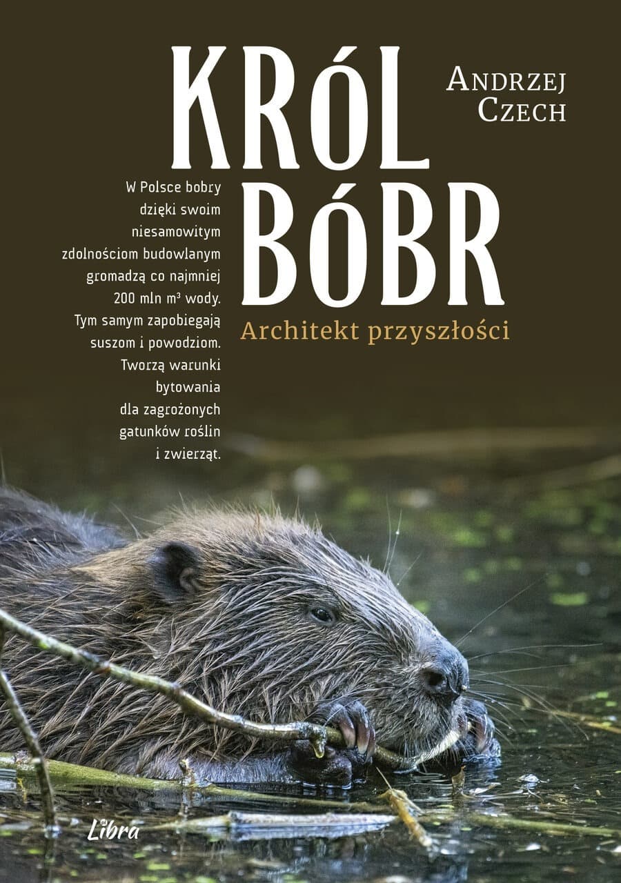 Król bóbr. Opowieść o architekcie przyszłości