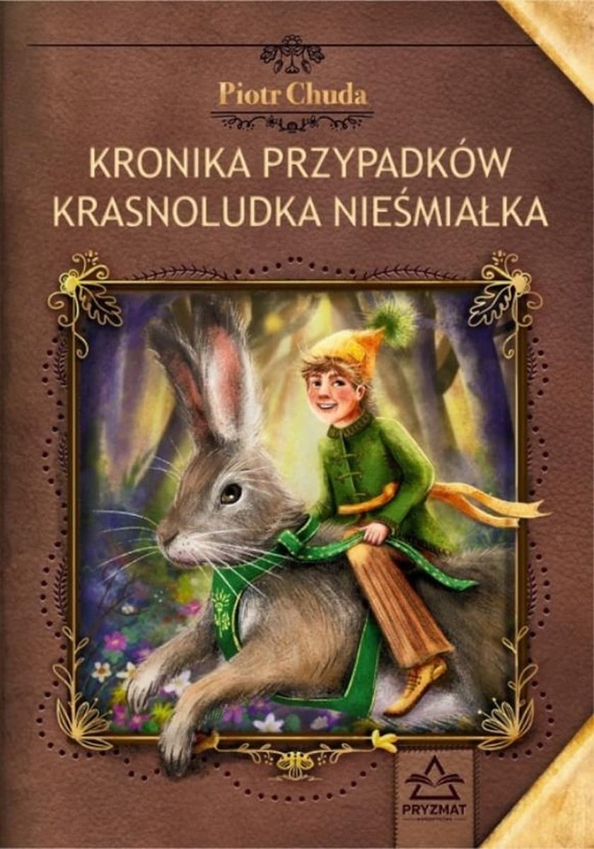 Kronika przypadków krasnoludka Nieśmiałka - książka dla dzieci
