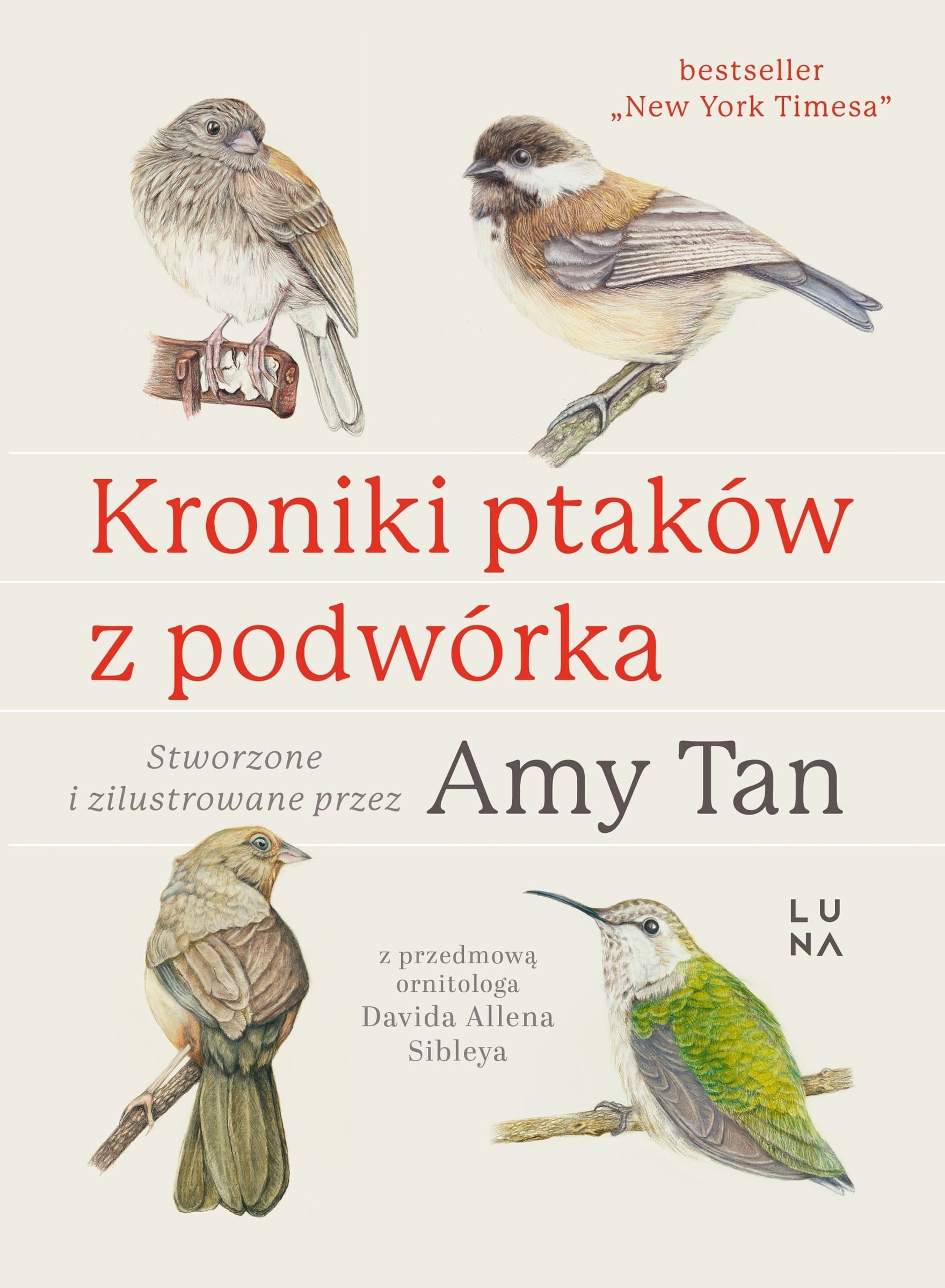 Kroniki ptaków z podwórka