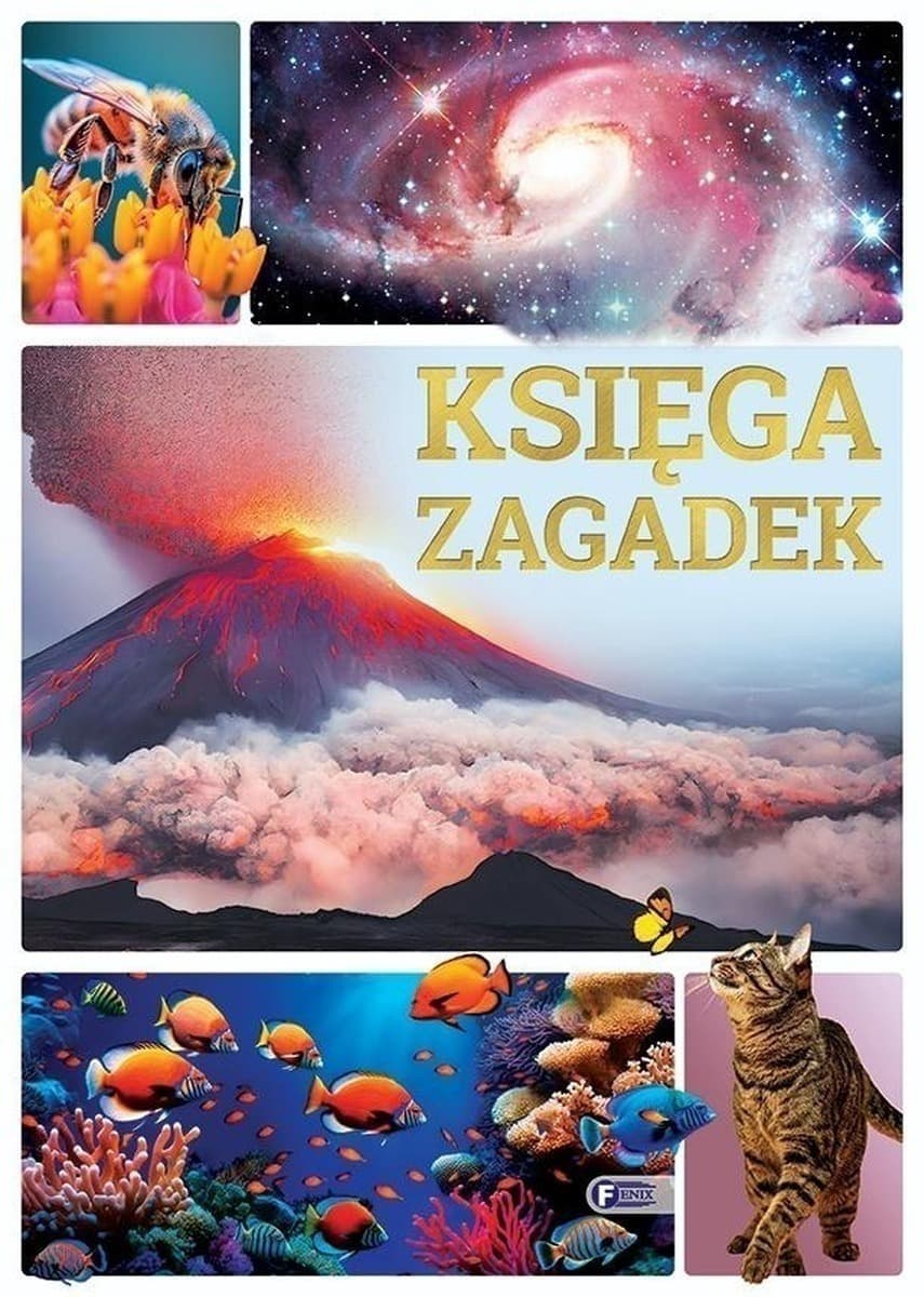 Książka dla dzieci Księga zagadek