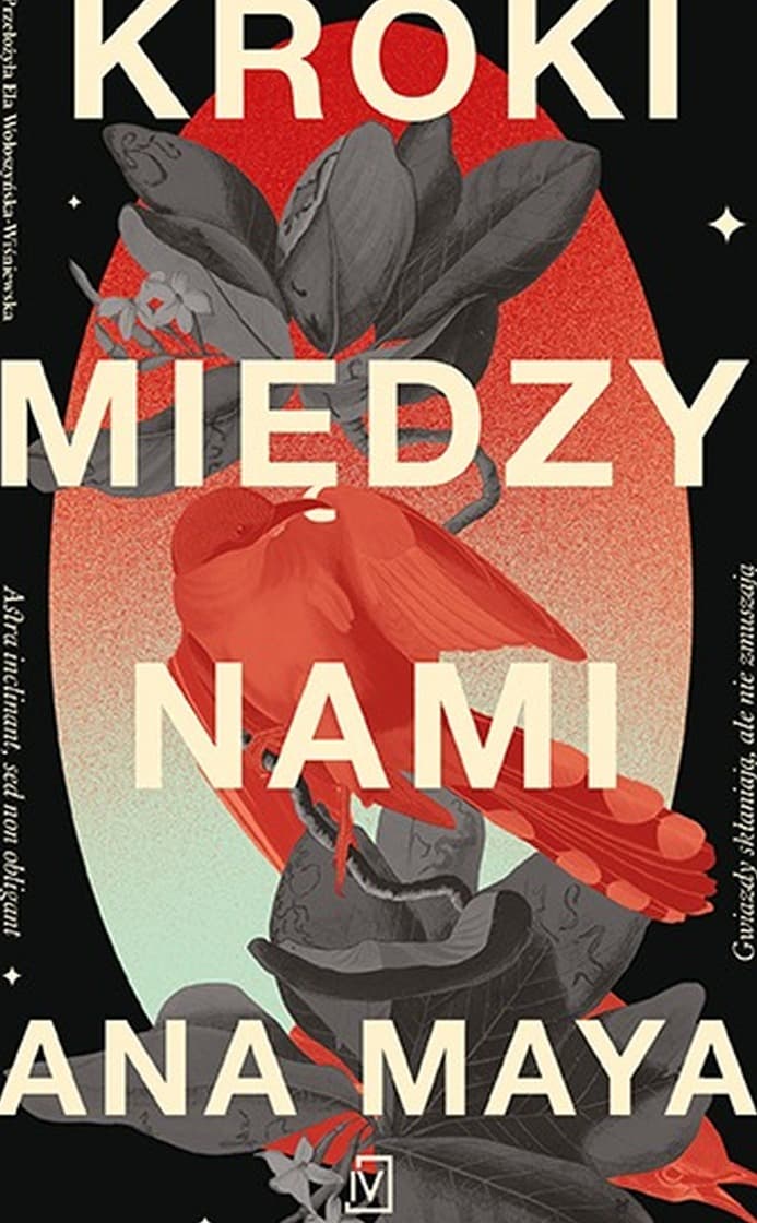 Książka Kroki między nami - Ana Maya