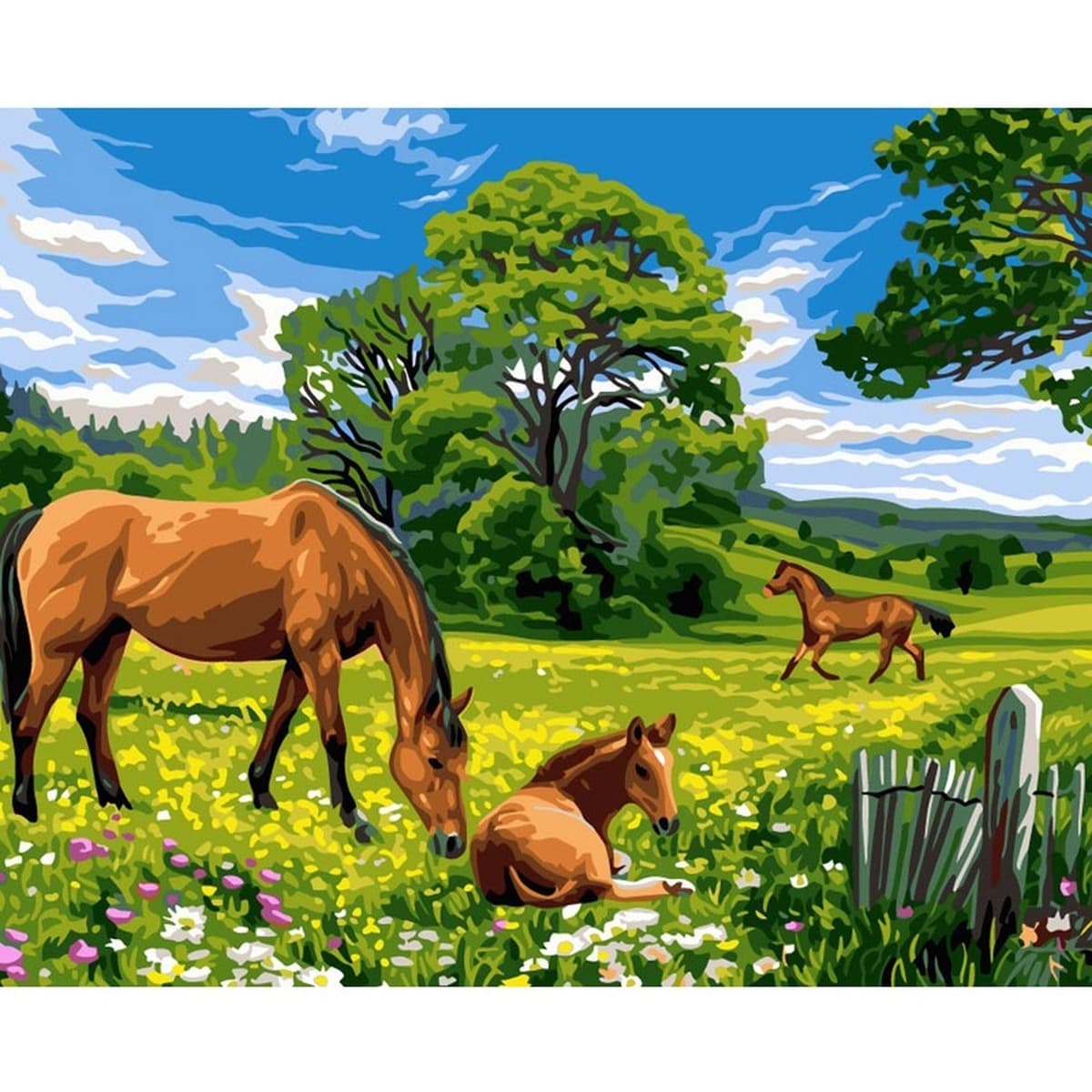 Malowanie po numerach Konie na łące 40x50 cm