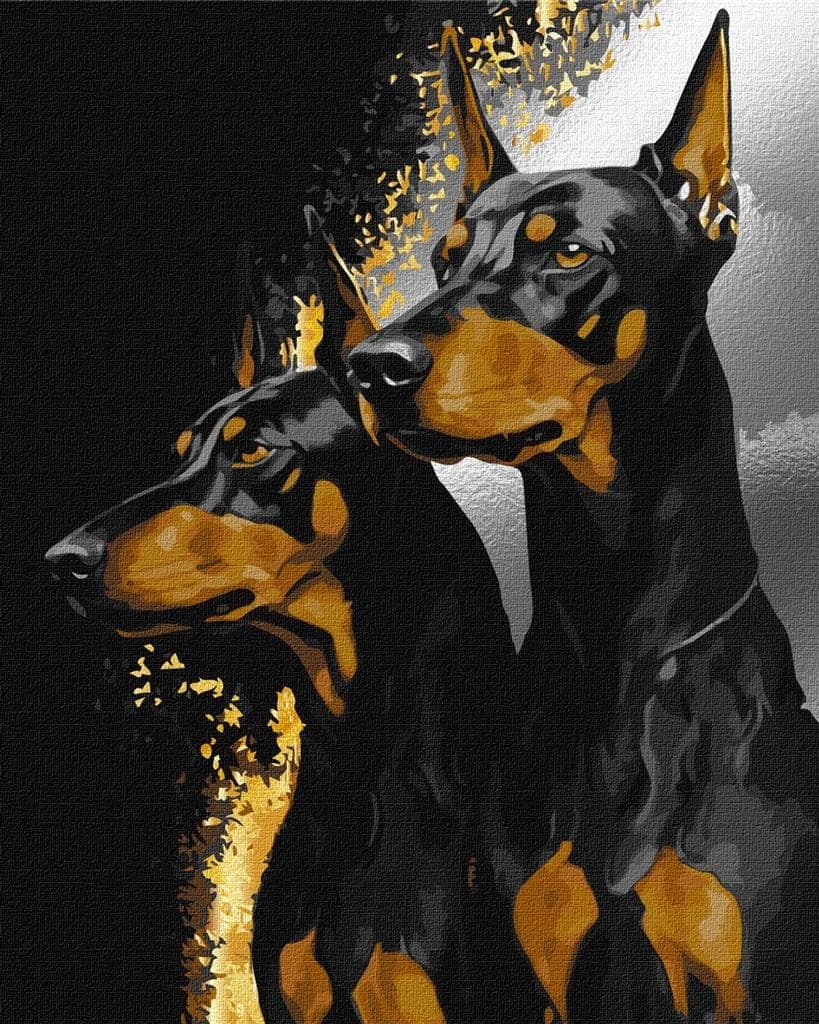 Obraz do malowania po numerach Dobermany 40x50 cm