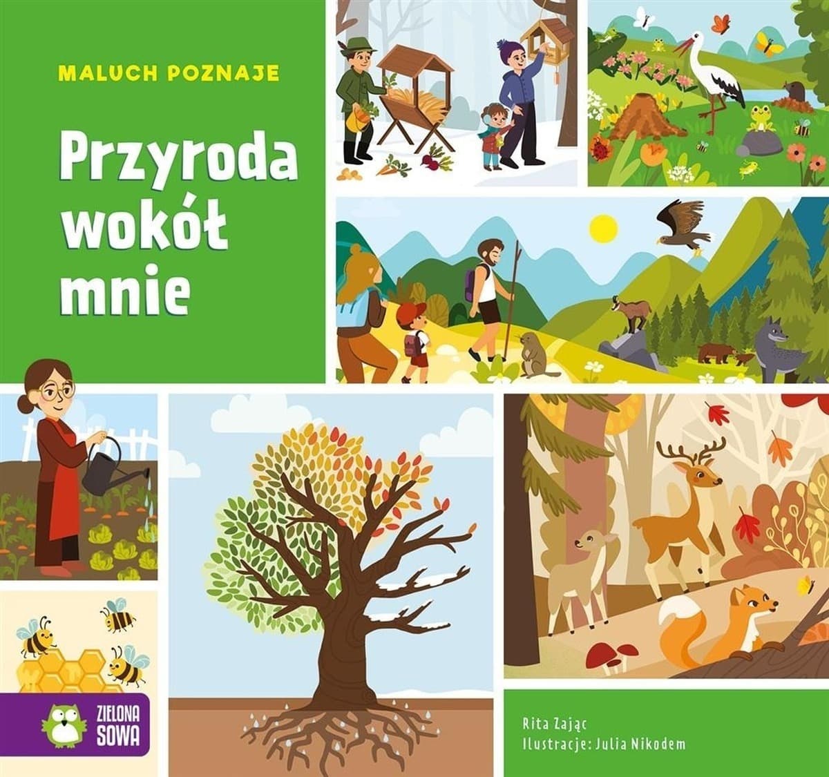 Maluch poznaje. Przyroda wokół mnie - Rita Dudkowska, Julia Nikodem