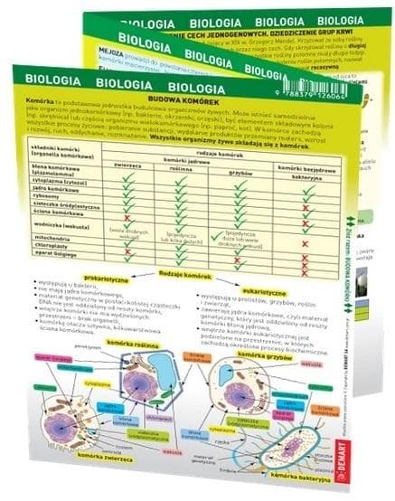 Biologia. MAXI Ściąga - Pomoc Dydaktyczna z Zakresu Biologii